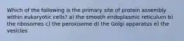 Which of the following is the primary site of protein assembly within eukaryotic cells? a) the smooth endoplasmic reticulum b) the ribosomes c) the peroxisome d) the Golgi apparatus e) the vesicles