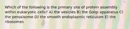 Which of the following is the primary site of protein assembly within eukaryotic cells? A) the vesicles B) the Golgi apparatus C) the peroxisome D) the smooth endoplasmic reticulum E) the ribosomes