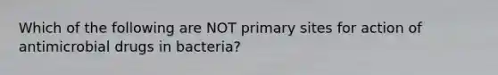 Which of the following are NOT primary sites for action of antimicrobial drugs in bacteria?