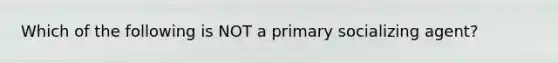 Which of the following is NOT a primary socializing agent?