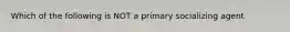 Which of the following is NOT a primary socializing agent