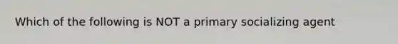 Which of the following is NOT a primary socializing agent