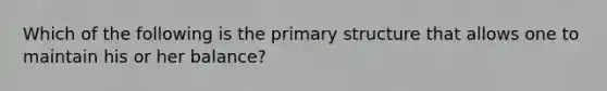 Which of the following is the primary structure that allows one to maintain his or her balance?