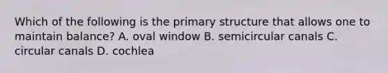 Which of the following is the primary structure that allows one to maintain balance? A. oval window B. semicircular canals C. circular canals D. cochlea