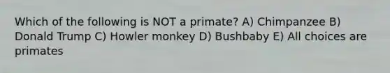 Which of the following is NOT a primate? A) Chimpanzee B) Donald Trump C) Howler monkey D) Bushbaby E) All choices are primates