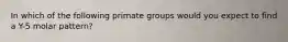 In which of the following primate groups would you expect to find a Y-5 molar pattern?