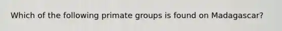 Which of the following primate groups is found on Madagascar?