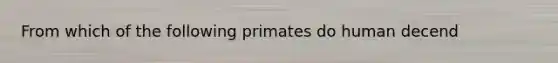 From which of the following primates do human decend