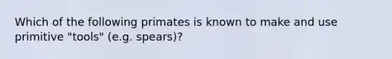 Which of the following primates is known to make and use primitive "tools" (e.g. spears)?