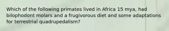 Which of the following primates lived in Africa 15 mya, had bilophodont molars and a frugivorous diet and some adaptations for terrestrial quadrupedalism?