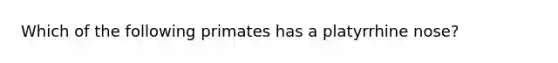 Which of the following primates has a platyrrhine nose?