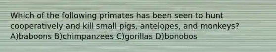 Which of the following primates has been seen to hunt cooperatively and kill small pigs, antelopes, and monkeys?A)baboons B)chimpanzees C)gorillas D)bonobos