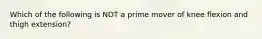 Which of the following is NOT a prime mover of knee flexion and thigh extension?