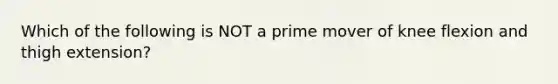 Which of the following is NOT a prime mover of knee flexion and thigh extension?