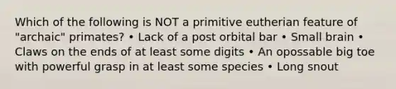 Which of the following is NOT a primitive eutherian feature of "archaic" primates? • Lack of a post orbital bar • Small brain • Claws on the ends of at least some digits • An opossable big toe with powerful grasp in at least some species • Long snout