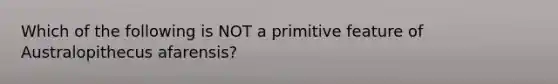 Which of the following is NOT a primitive feature of Australopithecus afarensis?