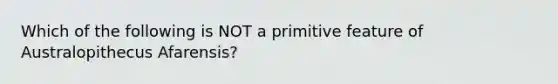 Which of the following is NOT a primitive feature of Australopithecus Afarensis?