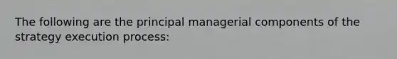 The following are the principal managerial components of the strategy execution process: