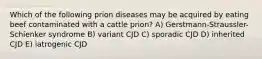 Which of the following prion diseases may be acquired by eating beef contaminated with a cattle prion? A) Gerstmann-Straussler-Schienker syndrome B) variant CJD C) sporadic CJD D) inherited CJD E) iatrogenic CJD