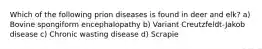 Which of the following prion diseases is found in deer and elk? a) Bovine spongiform encephalopathy b) Variant Creutzfeldt-Jakob disease c) Chronic wasting disease d) Scrapie