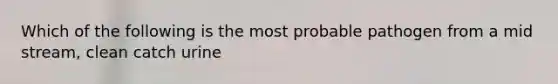 Which of the following is the most probable pathogen from a mid stream, clean catch urine