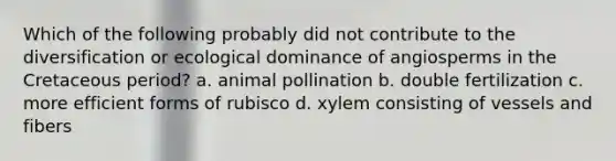 Which of the following probably did not contribute to the diversification or ecological dominance of angiosperms in the Cretaceous period? a. animal pollination b. double fertilization c. more efficient forms of rubisco d. xylem consisting of vessels and fibers