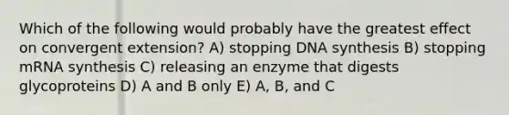 Which of the following would probably have the greatest effect on convergent extension? A) stopping DNA synthesis B) stopping mRNA synthesis C) releasing an enzyme that digests glycoproteins D) A and B only E) A, B, and C