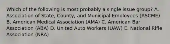 Which of the following is most probably a single issue group? A. Association of State, County, and Municipal Employees (ASCME) B. American Medical Association (AMA) C. American Bar Association (ABA) D. United Auto Workers (UAW) E. National Rifle Association (NRA)