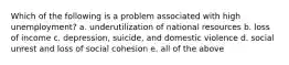 Which of the following is a problem associated with high unemployment? a. underutilization of national resources b. loss of income c. depression, suicide, and domestic violence d. social unrest and loss of social cohesion e. all of the above