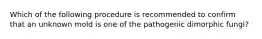 Which of the following procedure is recommended to confirm that an unknown mold is one of the pathogenic dimorphic fungi?