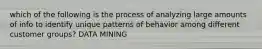 which of the following is the process of analyzing large amounts of info to identify unique patterns of behavior among different customer groups? DATA MINING