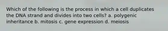 Which of the following is the process in which a cell duplicates the DNA strand and divides into two cells? a. polygenic inheritance b. mitosis c. <a href='https://www.questionai.com/knowledge/kFtiqWOIJT-gene-expression' class='anchor-knowledge'>gene expression</a> d. meiosis