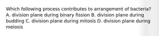 Which following process contributes to arrangement of bacteria? A. division plane during binary fission B. division plane during budding C. division plane during mitosis D. division plane during meiosis