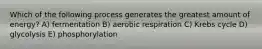 Which of the following process generates the greatest amount of energy? A) fermentation B) aerobic respiration C) Krebs cycle D) glycolysis E) phosphorylation