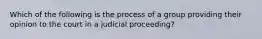 Which of the following is the process of a group providing their opinion to the court in a judicial proceeding?