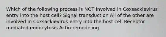 Which of the following process is NOT involved in Coxsackievirus entry into the host cell? Signal transduction All of the other are involved in Coxsackievirus entry into the host cell Receptor mediated endocytosis Actin remodeling