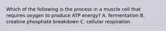 Which of the following is the process in a muscle cell that requires oxygen to produce ATP energy? A. fermentation B. creatine phosphate breakdown C. cellular respiration