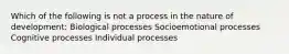 Which of the following is not a process in the nature of development: Biological processes Socioemotional processes Cognitive processes Individual processes