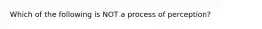 Which of the following is NOT a process of perception?