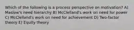 Which of the following is a process perspective on motivation? A) Maslow's need hierarchy B) McClelland's work on need for power C) McClelland's work on need for achievement D) Two-factor theory E) Equity theory