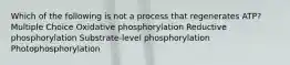 Which of the following is not a process that regenerates ATP? Multiple Choice Oxidative phosphorylation Reductive phosphorylation Substrate-level phosphorylation Photophosphorylation