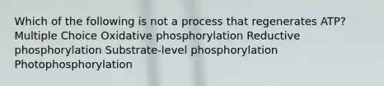 Which of the following is not a process that regenerates ATP? Multiple Choice Oxidative phosphorylation Reductive phosphorylation Substrate-level phosphorylation Photophosphorylation