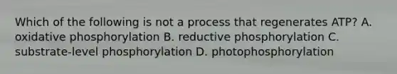 Which of the following is not a process that regenerates ATP? A. oxidative phosphorylation B. reductive phosphorylation C. substrate-level phosphorylation D. photophosphorylation