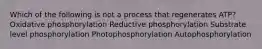 Which of the following is not a process that regenerates ATP? Oxidative phosphorylation Reductive phosphorylation Substrate level phosphorylation Photophosphorylation Autophosphorylation