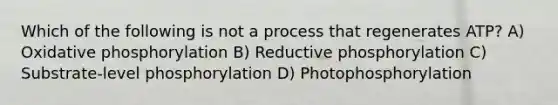 Which of the following is not a process that regenerates ATP? A) Oxidative phosphorylation B) Reductive phosphorylation C) Substrate-level phosphorylation D) Photophosphorylation