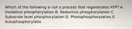 Which of the following is not a process that regenerates ATP? A. Oxidative phosphorylation B. Reductive phosphorylation C. Substrate level phosphorylation D. Photophosphorylation E. Autophosphorylatio