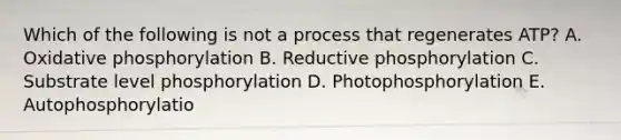 Which of the following is not a process that regenerates ATP? A. <a href='https://www.questionai.com/knowledge/kFazUb9IwO-oxidative-phosphorylation' class='anchor-knowledge'>oxidative phosphorylation</a> B. Reductive phosphorylation C. Substrate level phosphorylation D. Photophosphorylation E. Autophosphorylatio