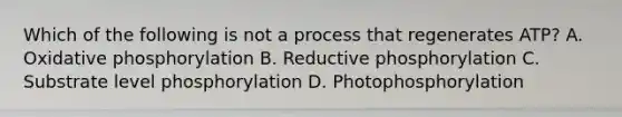 Which of the following is not a process that regenerates ATP? A. Oxidative phosphorylation B. Reductive phosphorylation C. Substrate level phosphorylation D. Photophosphorylation