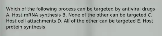 Which of the following process can be targeted by antiviral drugs A. Host mRNA synthesis B. None of the other can be targeted C. Host cell attachments D. All of the other can be targeted E. Host protein synthesis