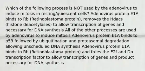 Which of the following process is NOT used by the adenovirus to induce mitosis in resting/quiescent cells? Adenovirus protein E1A binds to Rb (Retinoblastoma protein), removes the Hdacs (histone deacetylases) to allow transcription of genes and necessary for DNA synthesis All of the other processes are used by adenovirus to induce mitosis Adenovirus protein E1A binds to p53 followed by ubiquitination and proteasomal degradation allowing unscheduled DNA synthesis Adenovirus protein E1A binds to Rb (Retinoblastoma protein) and frees the E2f and Dp transcription factor to allow transcription of genes and product necessary for DNA synthesis